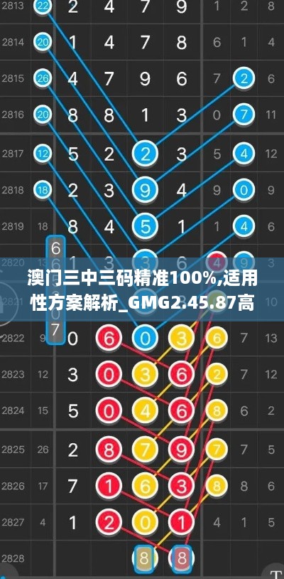 澳门三中三码精准100%,适用性方案解析_GMG2.45.87高效版