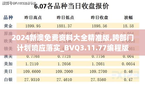 2024新澳免费资料大全精准版,跨部门计划响应落实_BVQ3.11.77编程版