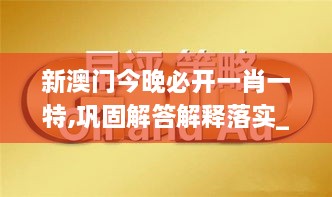 新澳门今晚必开一肖一特,巩固解答解释落实_VVE5.62.94视频版