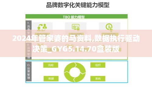 2024年管家婆的马资料,数据执行驱动决策_GYG5.14.70盒装版