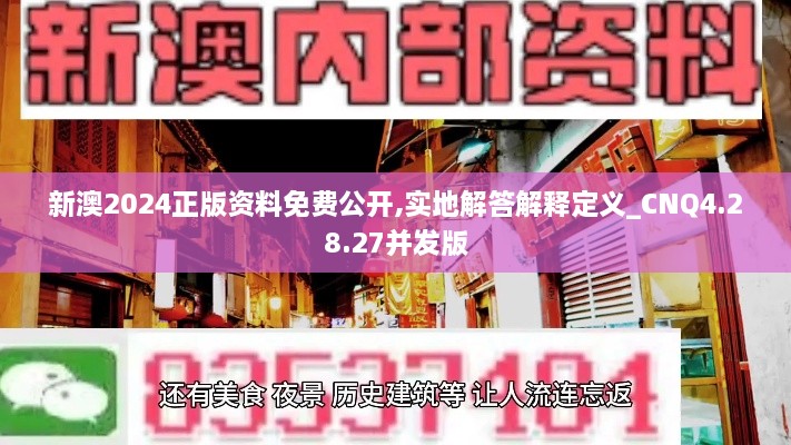 新澳2024正版资料免费公开,实地解答解释定义_CNQ4.28.27并发版