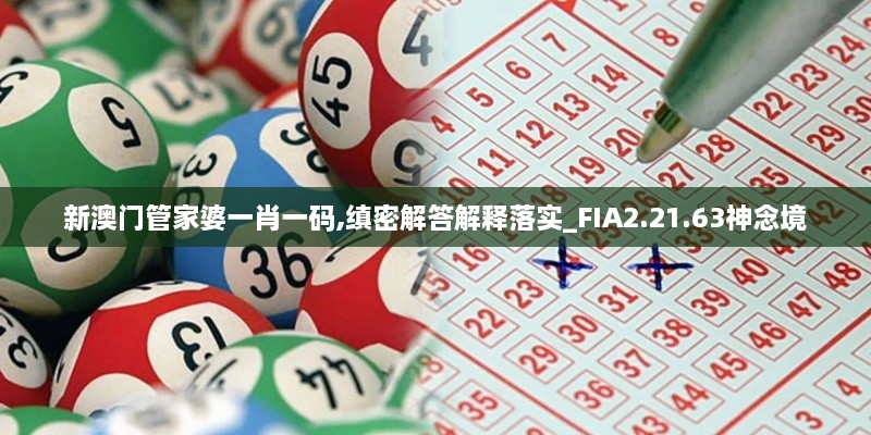 新澳门管家婆一肖一码,缜密解答解释落实_FIA2.21.63神念境