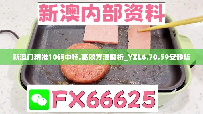 新澳门精准10码中特,高效方法解析_YZL6.70.59安静版