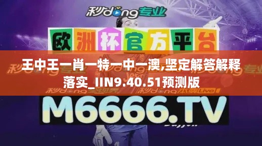 王中王一肖一特一中一澳,坚定解答解释落实_IIN9.40.51预测版