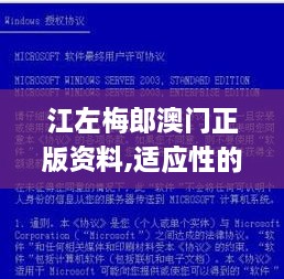 江左梅郎澳门正版资料,适应性的落实研究_EMB3.29.51生态版