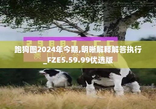 跑狗图2024年今期,明晰解释解答执行_FZE5.59.99优选版