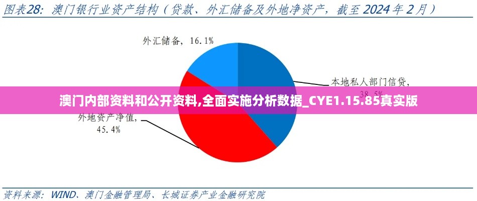 澳门内部资料和公开资料,全面实施分析数据_CYE1.15.85真实版