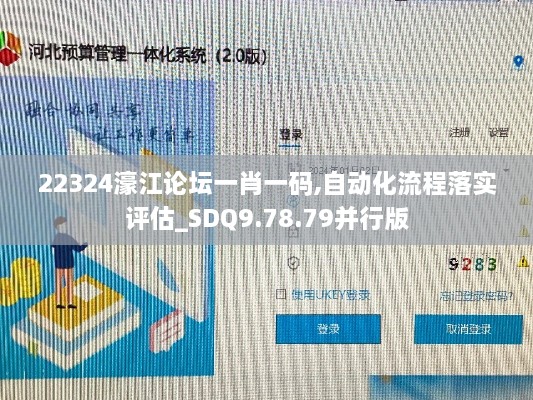 22324濠江论坛一肖一码,自动化流程落实评估_SDQ9.78.79并行版