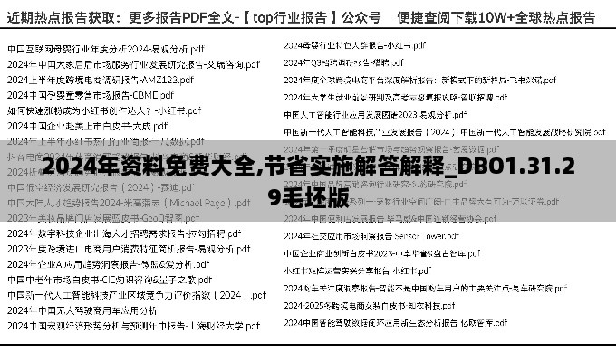 2024年资料免费大全,节省实施解答解释_DBO1.31.29毛坯版