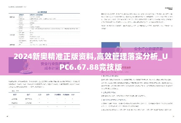 2024新奥精准正版资料,高效管理落实分析_UPC6.67.88竞技版