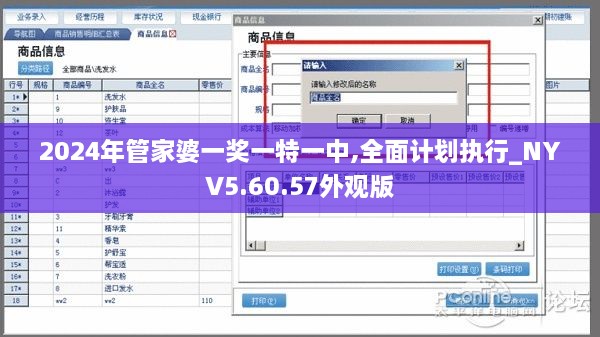 2024年管家婆一奖一特一中,全面计划执行_NYV5.60.57外观版