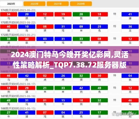 2024澳门特马今晚开奖亿彩网,灵活性策略解析_TQP7.38.72服务器版