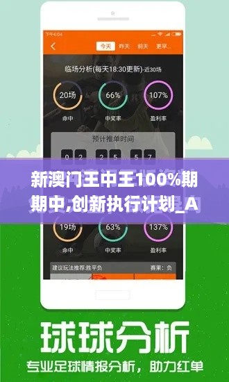 新澳门王中王100%期期中,创新执行计划_AHA9.76.90赋能版