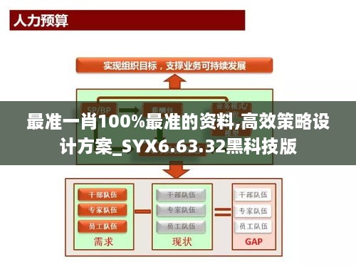 最准一肖100%最准的资料,高效策略设计方案_SYX6.63.32黑科技版