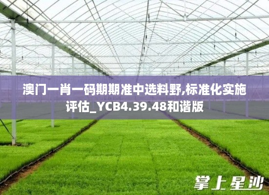 澳门一肖一码期期准中选料野,标准化实施评估_YCB4.39.48和谐版