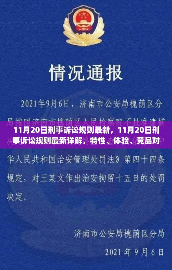 11月20日刑事诉讼规则最新详解，特性、体验、竞品对比与用户洞察