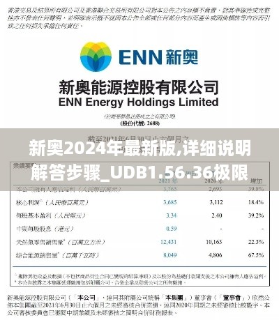 新奥2024年最新版,详细说明解答步骤_UDB1.56.36极限版