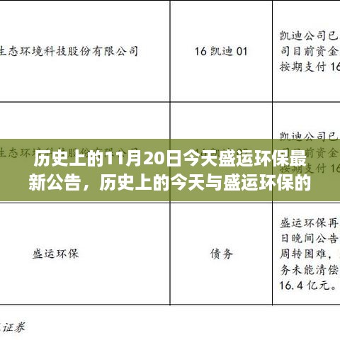 历史上的今天与盛运环保最新公告，深度解读与观点阐述