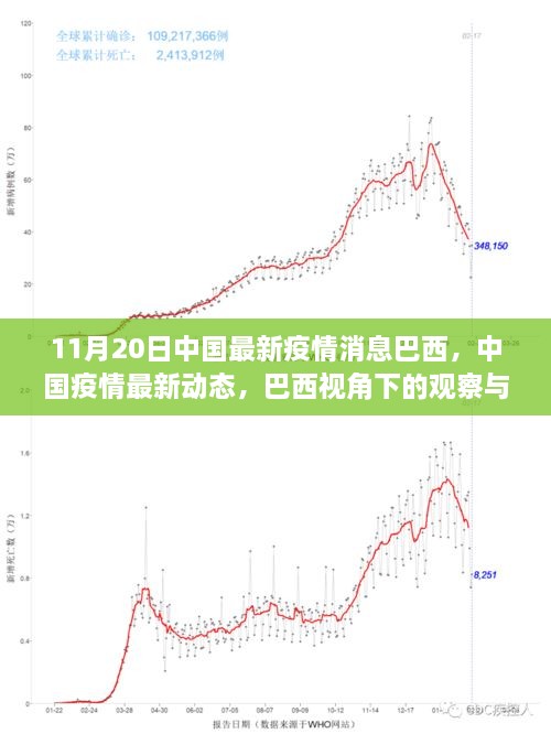 巴西视角下的中国疫情最新动态解读（11月20日更新）