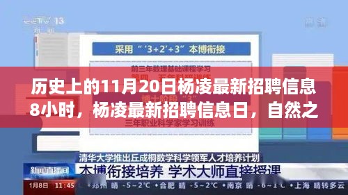 杨凌最新招聘信息发布日，自然之旅启程，探寻内心的宁静与力量当日招聘活动纪实