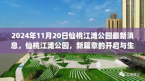 仙桃江滩公园新篇章开启，生态文明绽放的最新消息