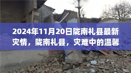 陇南礼县灾难中的温情与深厚情谊，最新灾情报告（2024年11月20日）