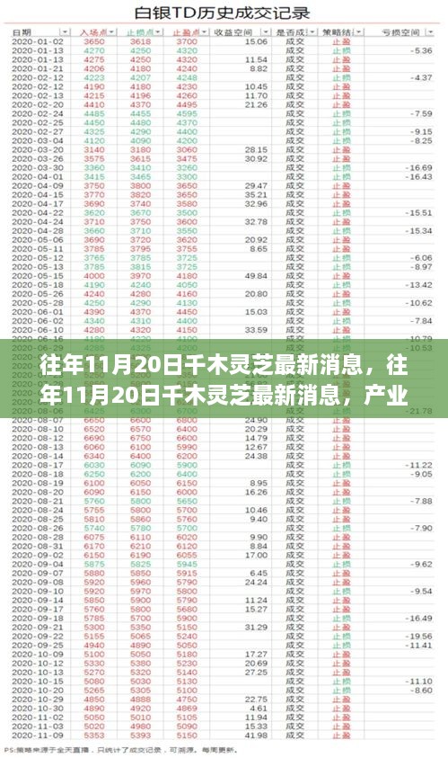 往年11月20日千木灵芝最新消息及产业动态探析