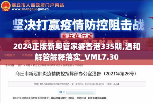 2024正版新奥管家婆香港335期,温和解答解释落实_VML7.30