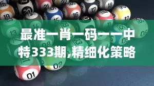 最准一肖一码一一中特333期,精细化策略解析_WKN7.22