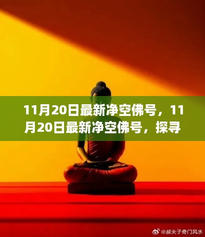 探寻内心宁静的禅意之旅，最新净空佛号发布于11月20日