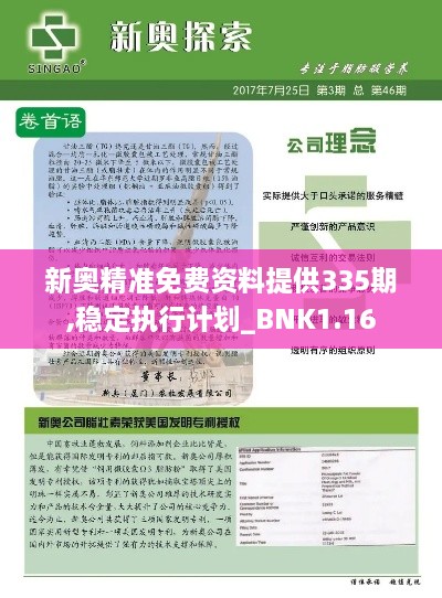 新奥精准免费资料提供335期,稳定执行计划_BNK1.16