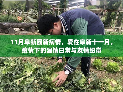 阜新十一月疫情下的温情与友情纽带，最新疫情动态与日常故事