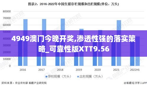 4949澳门今晚开奖,渗透性强的落实策略_可靠性版XTT9.56