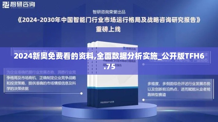 2024新奥免费看的资料,全面数据分析实施_公开版TFH6.75