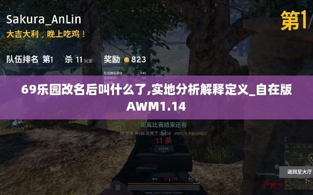 69乐园改名后叫什么了,实地分析解释定义_自在版AWM1.14