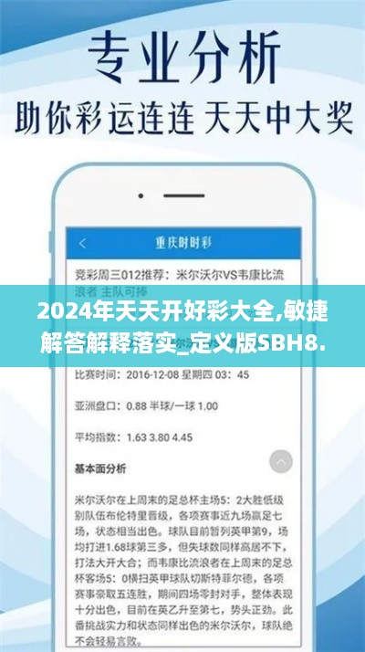 2024年天天开好彩大全,敏捷解答解释落实_定义版SBH8.60