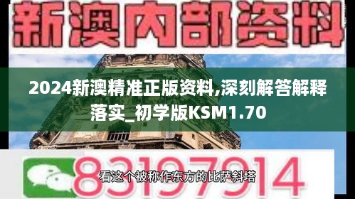 2024新澳精准正版资料,深刻解答解释落实_初学版KSM1.70