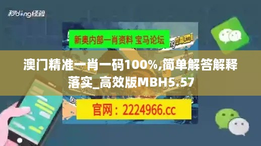 澳门精准一肖一码100%,简单解答解释落实_高效版MBH5.57