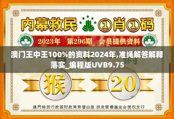 澳门王中王100%的资料2024年,准绳解答解释落实_编程版UVB9.75