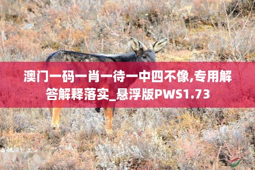 澳门一码一肖一待一中四不像,专用解答解释落实_悬浮版PWS1.73