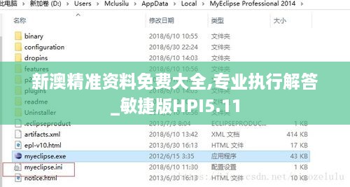 新澳精准资料免费大全,专业执行解答_敏捷版HPI5.11