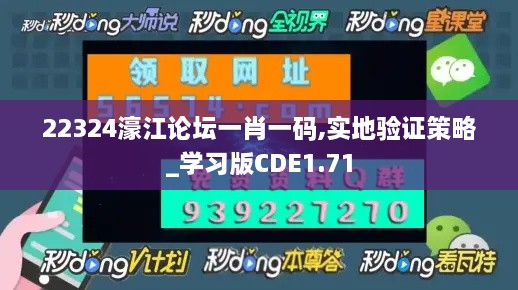 22324濠江论坛一肖一码,实地验证策略_学习版CDE1.71