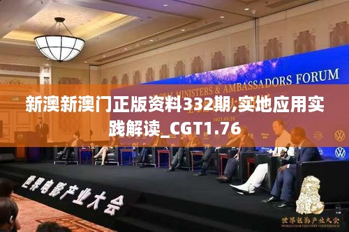 新澳新澳门正版资料332期,实地应用实践解读_CGT1.76