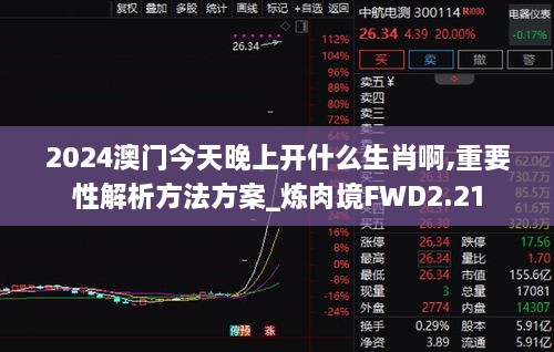 2024澳门今天晚上开什么生肖啊,重要性解析方法方案_炼肉境FWD2.21