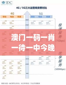 澳门一码一肖一待一中今晚,调整细节执行方案_投资版IDC8.51