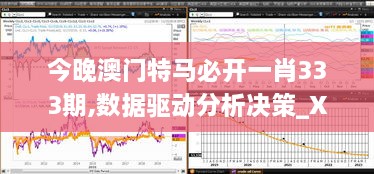 今晚澳门特马必开一肖333期,数据驱动分析决策_XAZ3.40