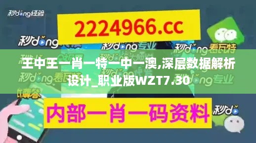 王中王一肖一特一中一澳,深层数据解析设计_职业版WZT7.30