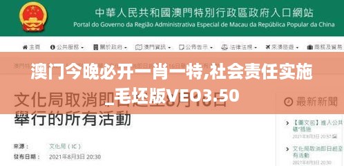 澳门今晚必开一肖一特,社会责任实施_毛坯版VEO3.50