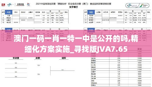 澳门一码一肖一特一中是公开的吗,精细化方案实施_寻找版JVA7.65