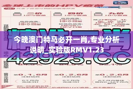 今晚澳门特马必开一肖,专业分析说明_实验版RMV1.23